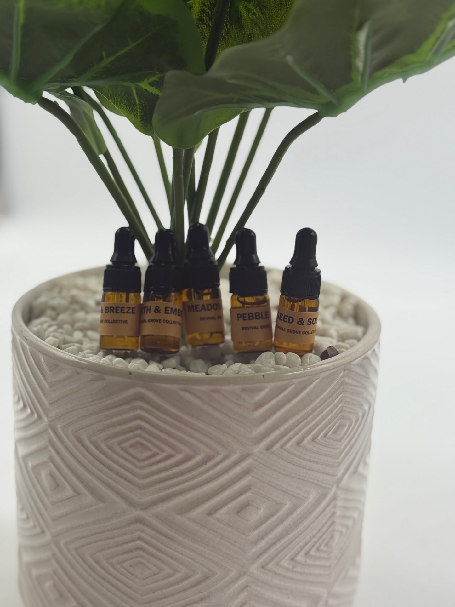 Essential oil sample set