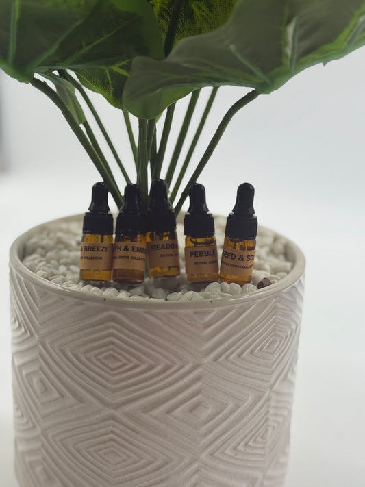 Essential oil sample set